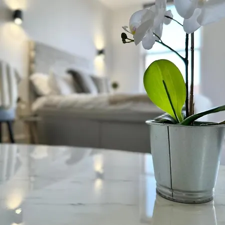 公寓 Sleek Stylish 1 Bedroom